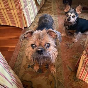 Meet your Posher, Sheri